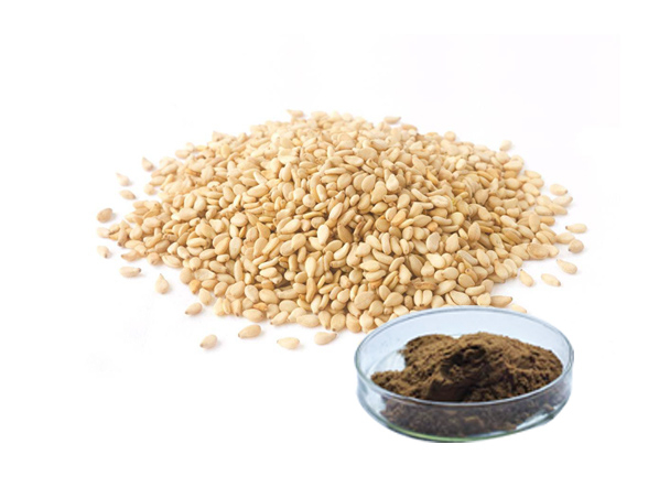 Sesame Extract