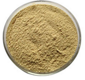Brown Seaseed Extract Fucoidan Powder