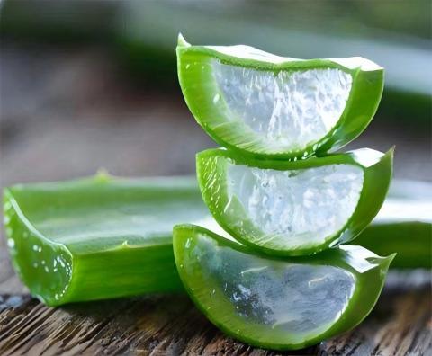 Aloe Vera Extract