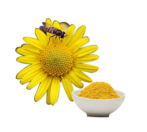 Bee Pollen Powder