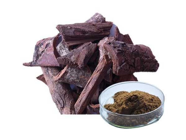 Pygeum Africanum Extract
