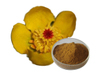 Nuphar Pumilum Root Extract