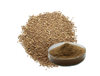 Cuscutae Seed Extract