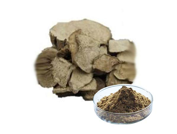 Stephania cepharantha Hayata Extract