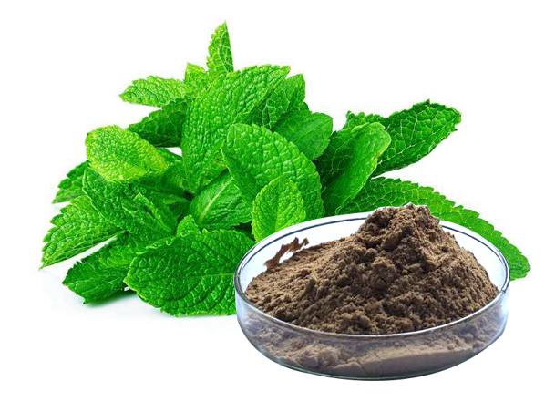 Peppermint Extract