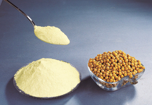 Soybean Extract Lecithin 90%