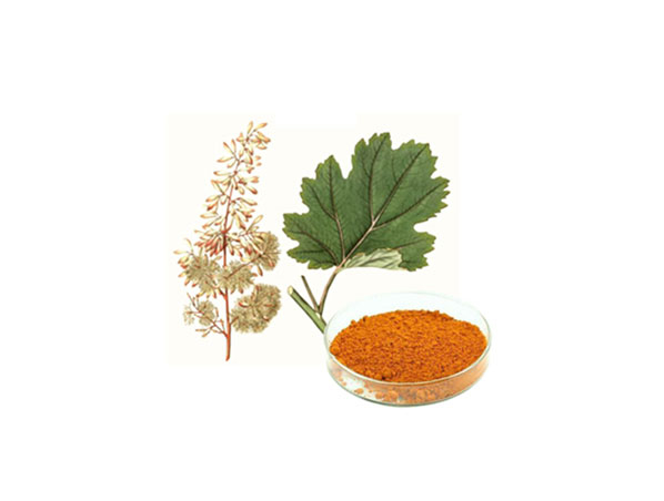Macleaya Cordata Extract