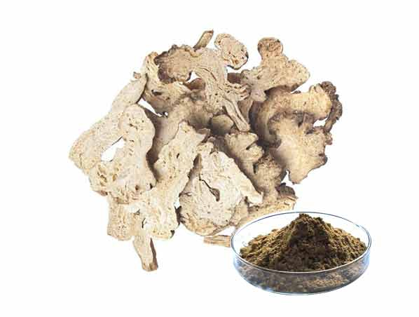 White Atractylodes Extract