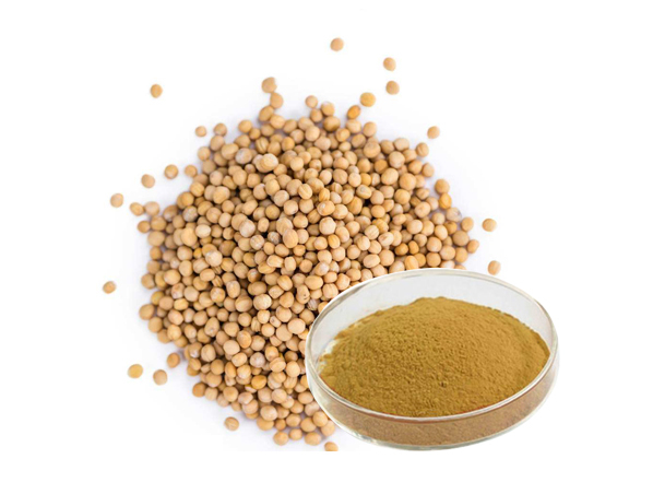 Mustard Seed Extract