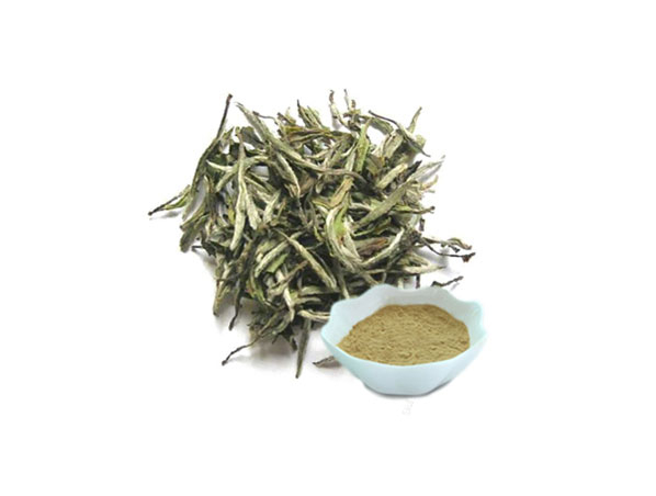 White Tea Extract