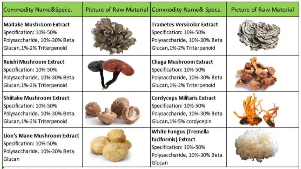 mushroom