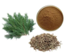 Platycladus Orientalis Leaf Extract Powder