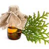 Platycladus Orientalis Leaf Extract Powder