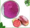 Cactus Fruit Powder/Cactus Leaf Powder