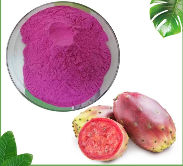 Cactus Fruit Powder/Cactus Leaf Powder