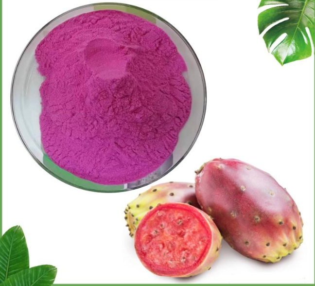 Cactus Fruit Powder/Cactus Leaf Powder